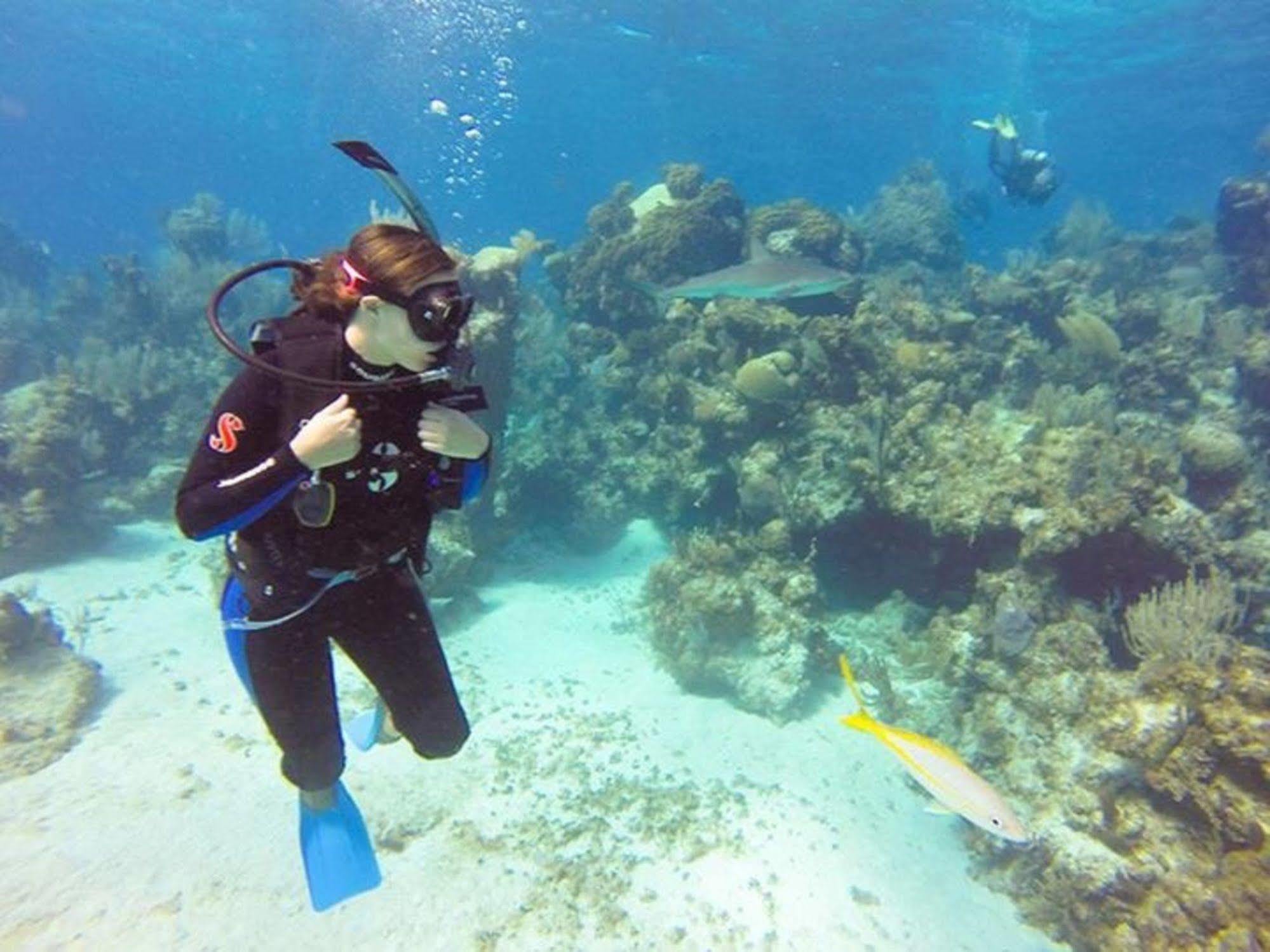 Green Turtle Club Resort & Marina Green Turtle Cay Exterior foto